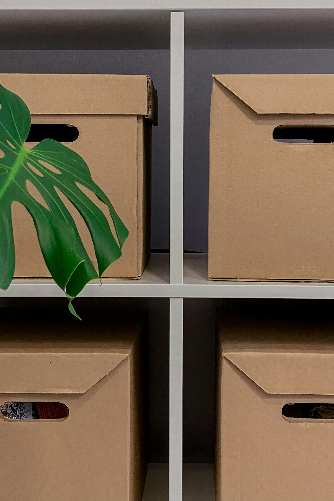 eco friendly storage solutions